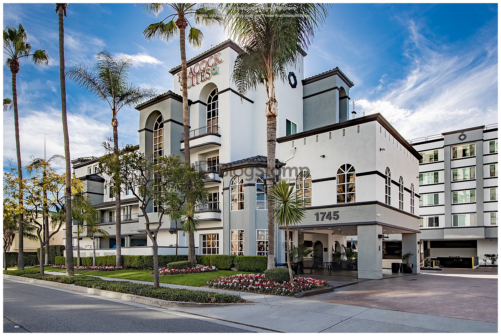 Peacock Suites hotel in Anaheim, California, featuring welcoming accommodations and resort amenities near Disneyland Resort.